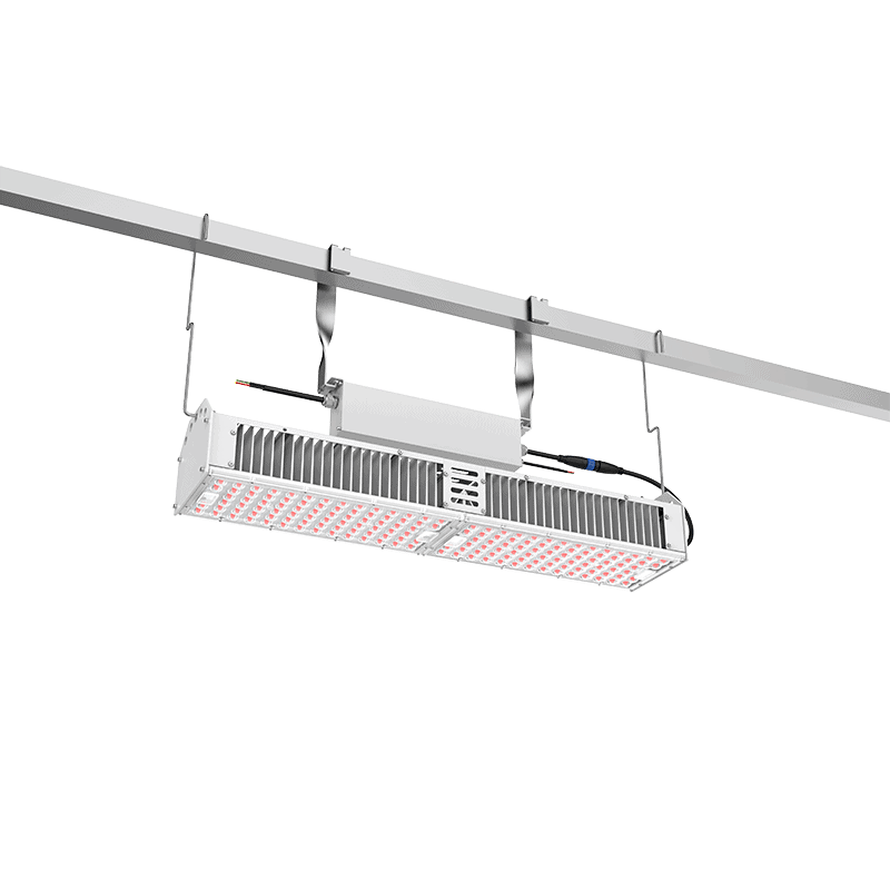 main G66 01 1